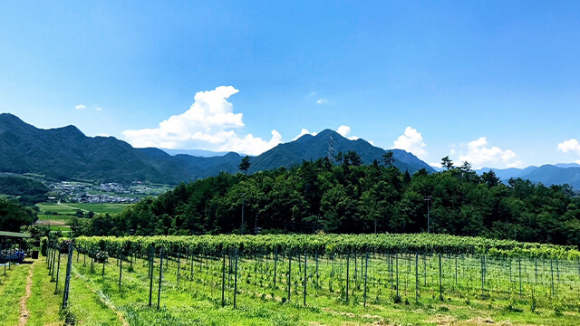 東山圃場